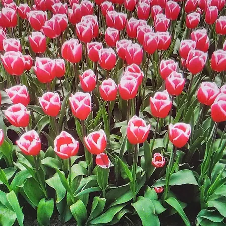 Σπίτι διακοπών Casa Freddy