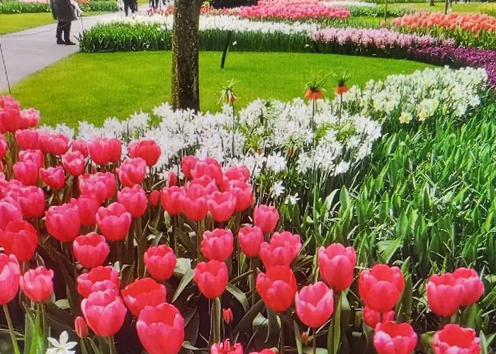 Casa de Férias Casa Freddy Noordwijkerhout